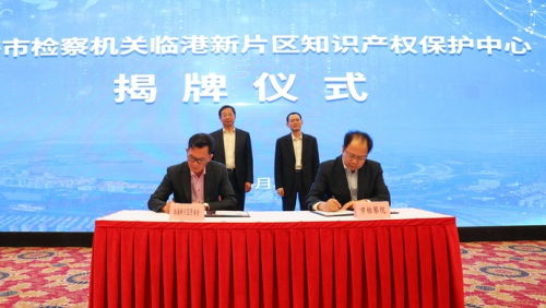 12支專業(yè)辦案團隊入駐上海，深化金融、走私、知識產(chǎn)權等領域執(zhí)法服務